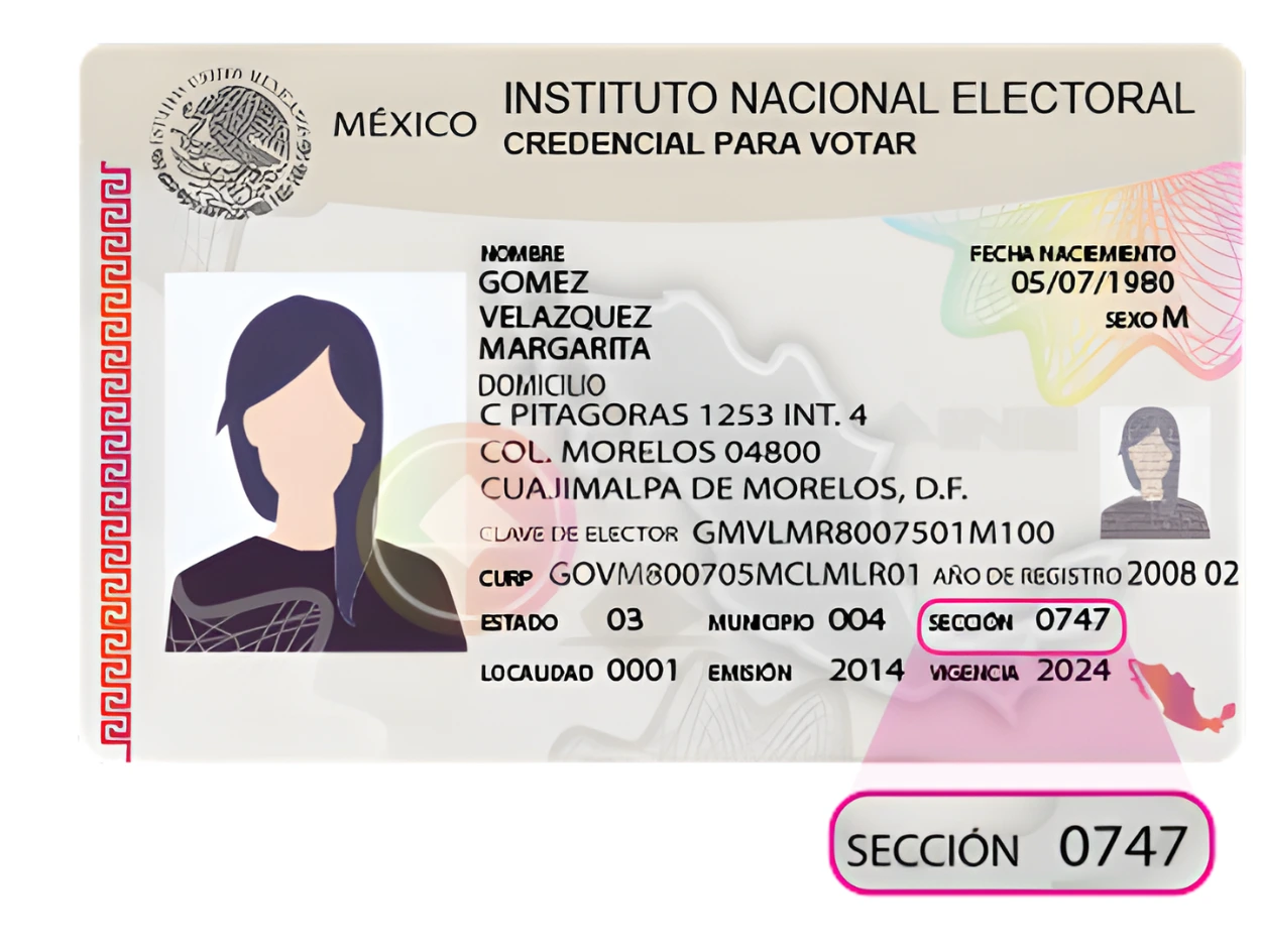 Ejemplo de dónde está la sección en tu INE